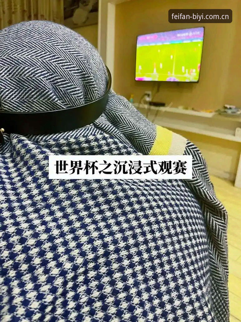 5大关键因素解读世界杯观赛冷场：从签证危机到地缘政治的连锁反应